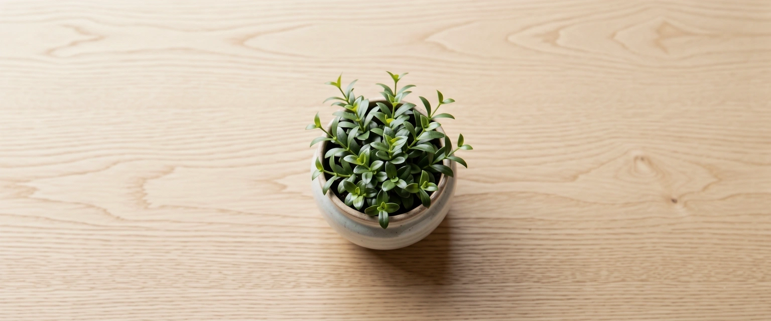 Serene Workspace Environment